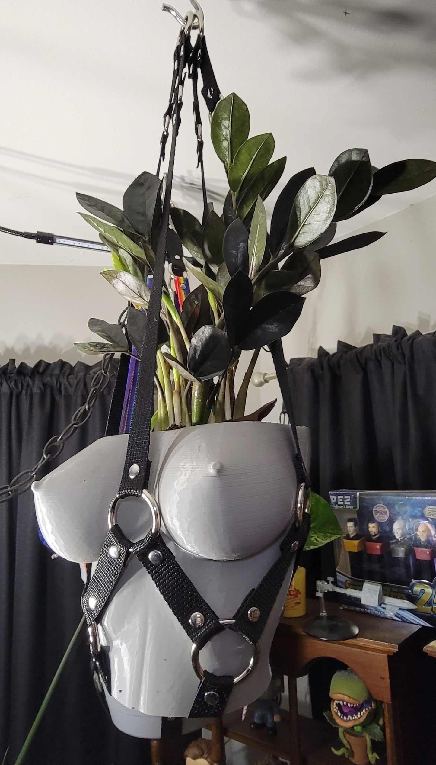 Medium Bondage Plant Hanger - made to order (PLEASE READ DESCRIPTION)
