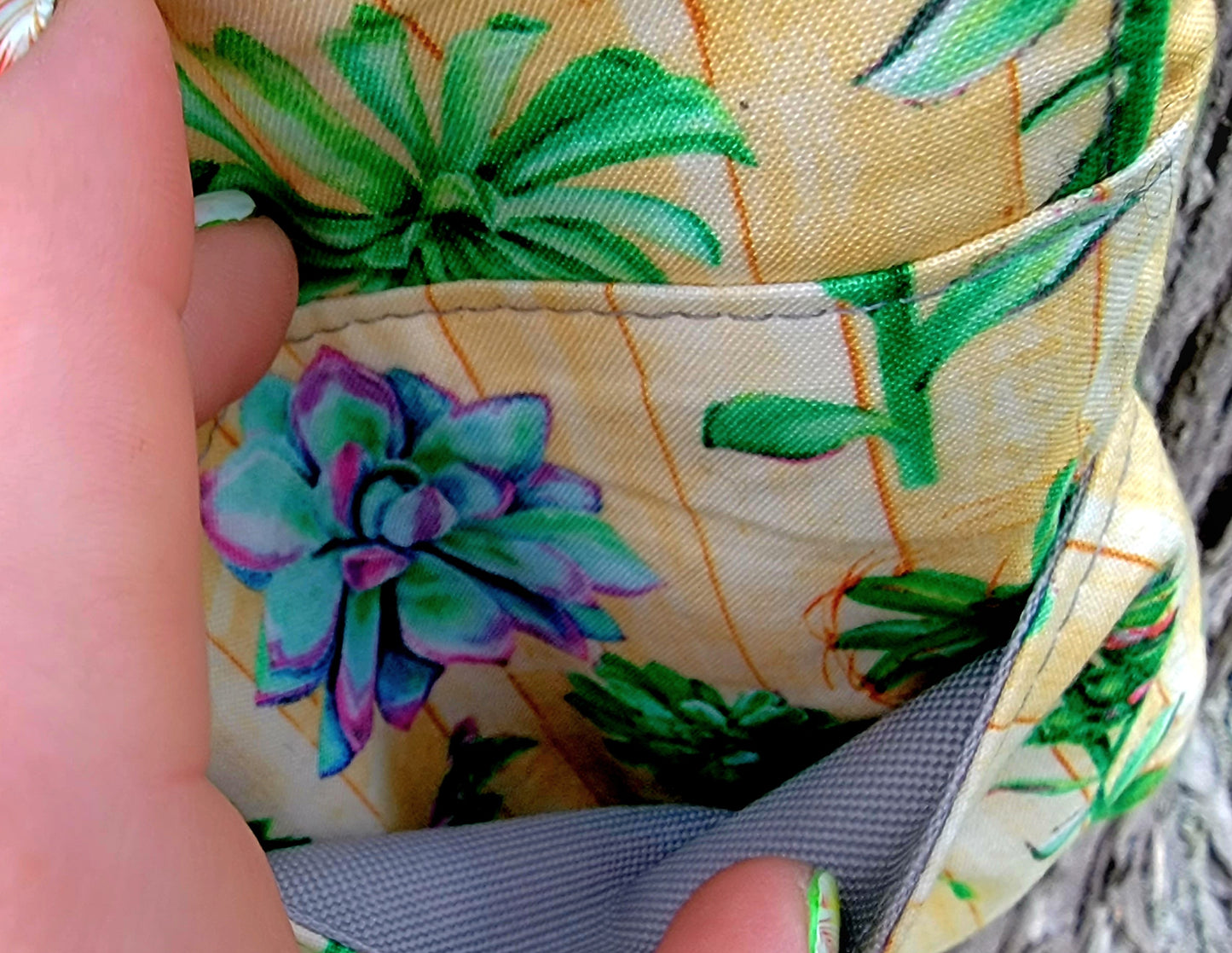 Small Plant Purse Succulants