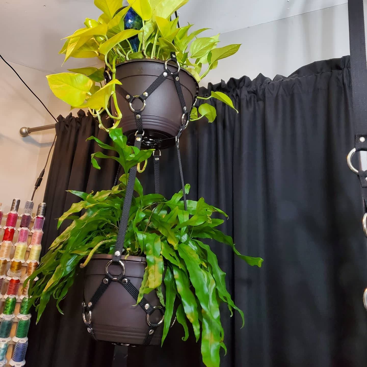Small Plant Bondage Plant Hanger - made to order (PLEASE READ DESCRIPTION!!!)
