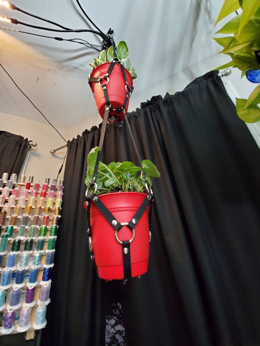 Small Plant Bondage Plant Hanger - made to order (PLEASE READ DESCRIPTION!!!)