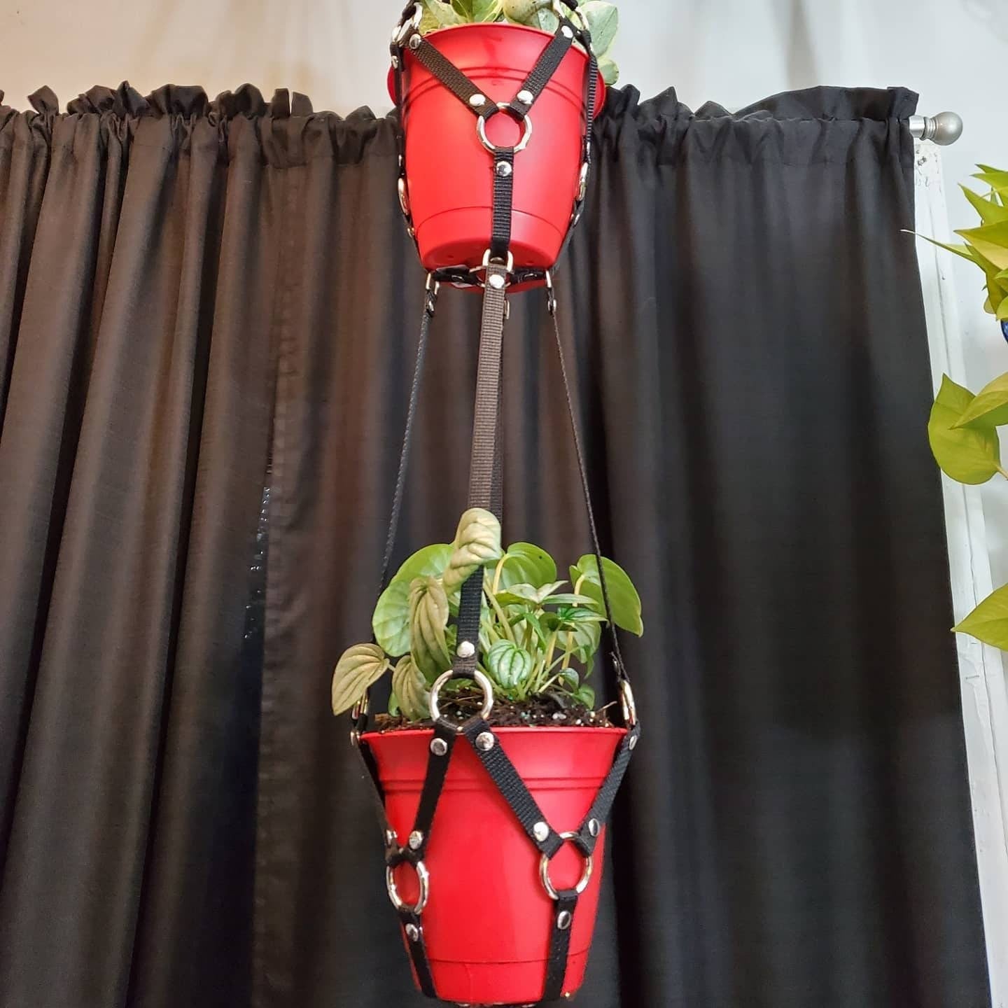 Small Plant Bondage Plant Hanger - made to order (PLEASE READ DESCRIPTION!!!)