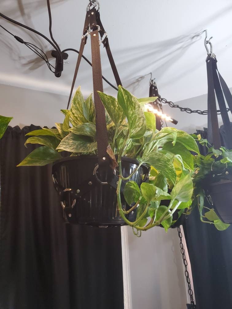 Large Bondage Plant Hanger - made to order (PLEASE READ DESCRIPTION!!!)