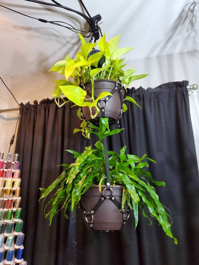 Small Plant Bondage Plant Hanger - made to order (PLEASE READ DESCRIPTION!!!)