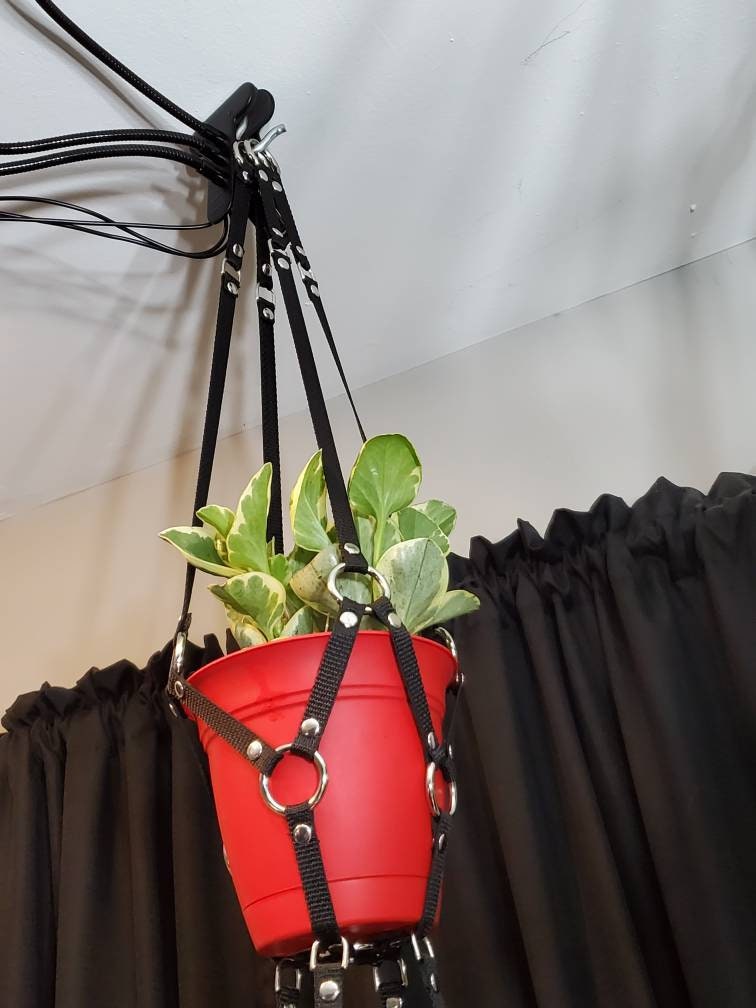 Small Plant Bondage Plant Hanger - made to order (PLEASE READ DESCRIPTION!!!)