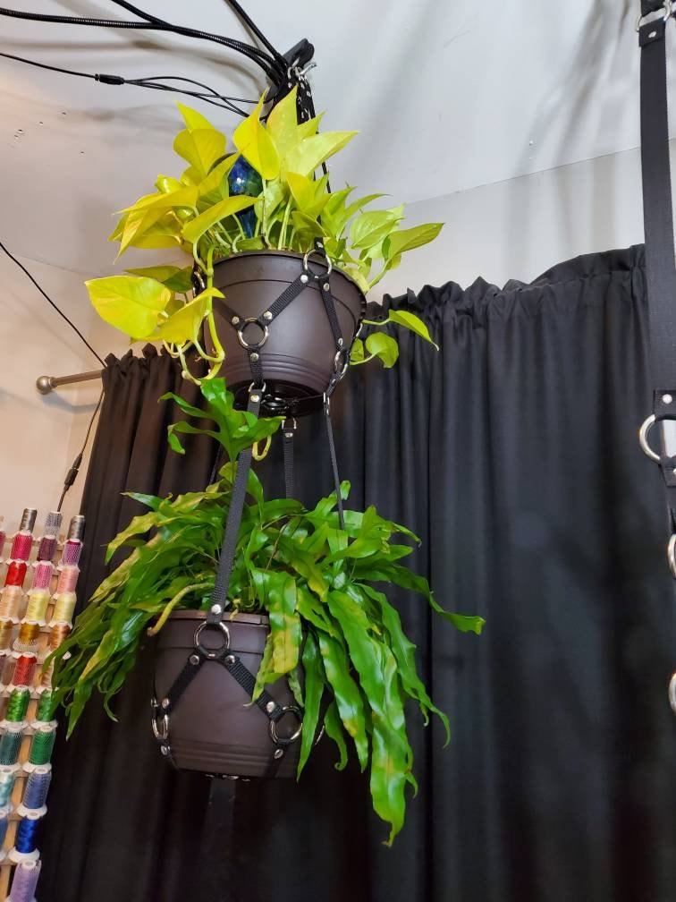 Small Plant Bondage Plant Hanger - made to order (PLEASE READ DESCRIPTION!!!)