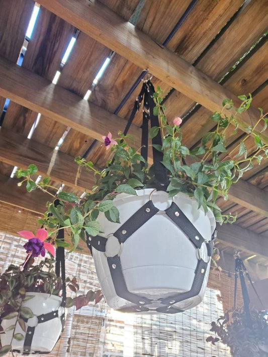 Large Bondage Plant Hanger - made to order (PLEASE READ DESCRIPTION!!!)
