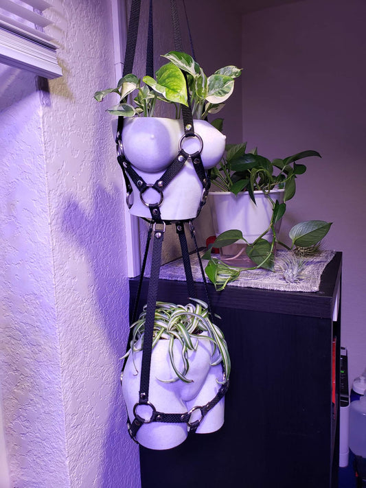 Small Plant Bondage Plant Hanger - made to order (PLEASE READ DESCRIPTION!!!)